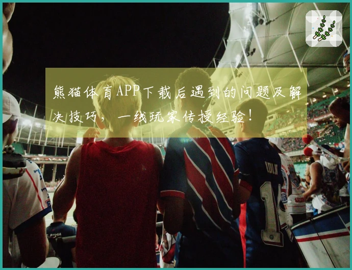 熊猫体育APP下载后遇到的问题及解决技巧，一线玩家传授经验！