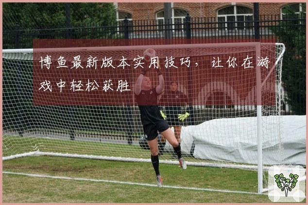 博鱼最新版本实用技巧，让你在游戏中轻松获胜