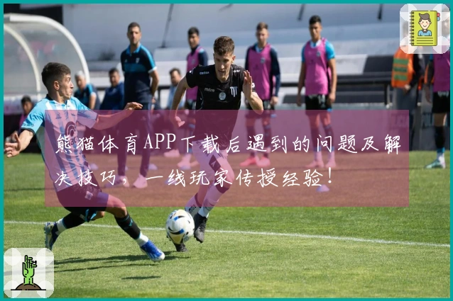 熊猫体育APP下载后遇到的问题及解决技巧，一线玩家传授经验！